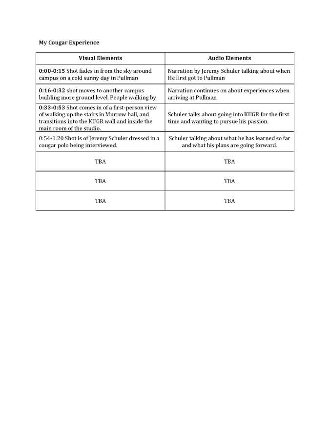 com210-storyboard-template